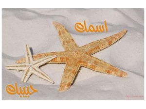 Write your name on the starfish