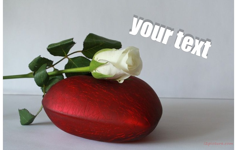 The White Rose Red Heart Postcard