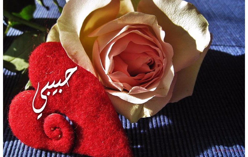 Type Your Lover's Name On The Heart Of The Cloth Beside The Flowers Postcard