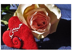 Type your lover's name on the heart of the cloth beside the flowers