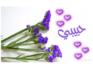 Your lover's name on a white background violet flowers