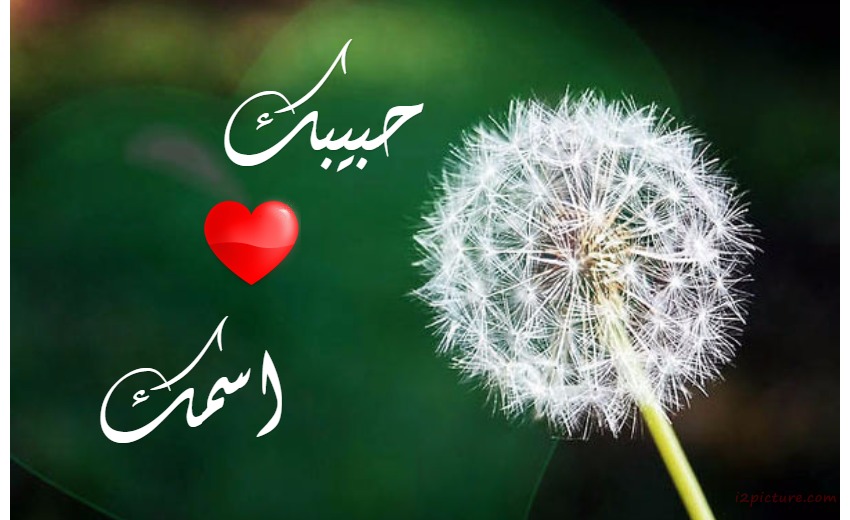 Your Name On The Plant Postcard