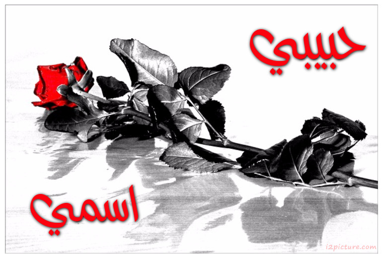 Your Lover's Name On The Red Rose Postcard