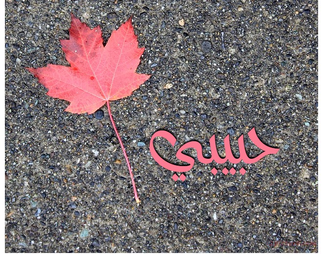 Your Lover's Name On The Paper Red Tree Postcard