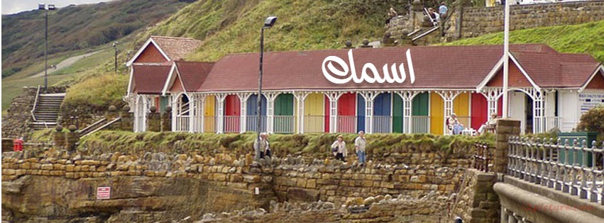 Your Name On The Colored Houses Facebook Cover