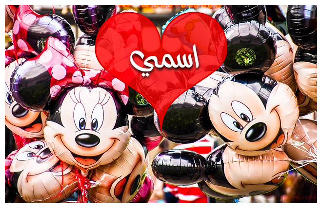 Mickey Daisy Disney Postcard