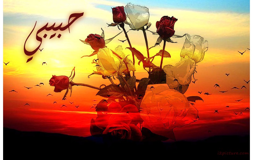 Write Your Name Center Of Flowers Sunset Postcard