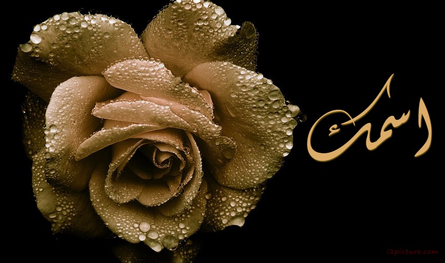 Golden Flower Postcard