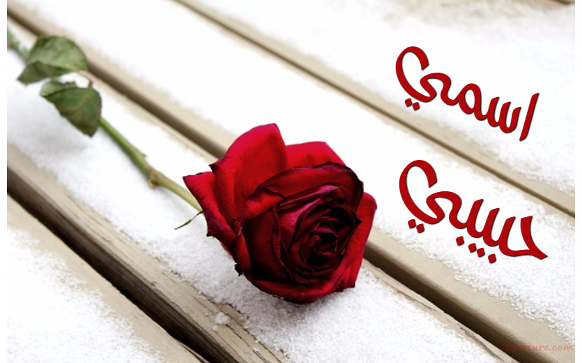 Your Lover's Name On The Wood Floor And Rose Postcard