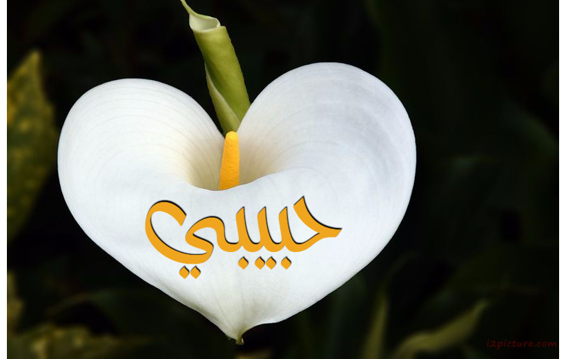 Your Name And Your Lover Are On A White Heart Shaped Flower Postcard