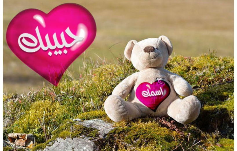 Type Your Lover's Name On The Heart And Teddy Bear Postcard